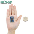 SKYLAB SKW92A 2*2 MIMO Wifi Module for IOT Home Automation Best IOT Devices